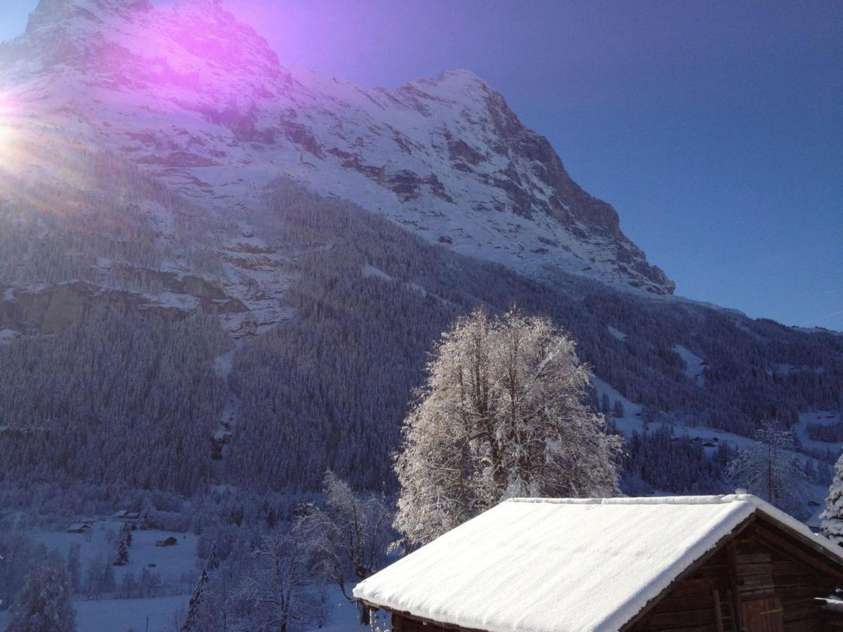 Apartment Chalet Baergsunna-1 By Interhome Grindelwald Exterior photo
